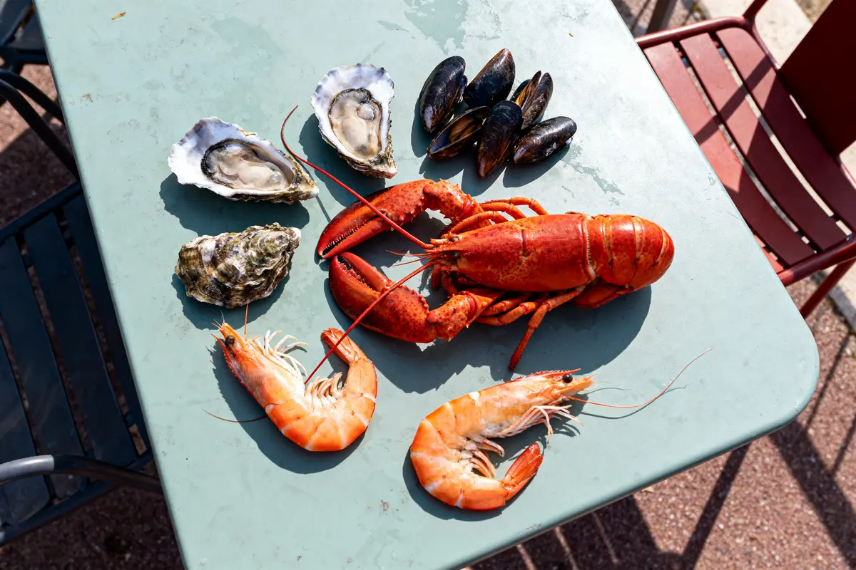 Fruit de mer top 7 : Les incontournables pour votre été
