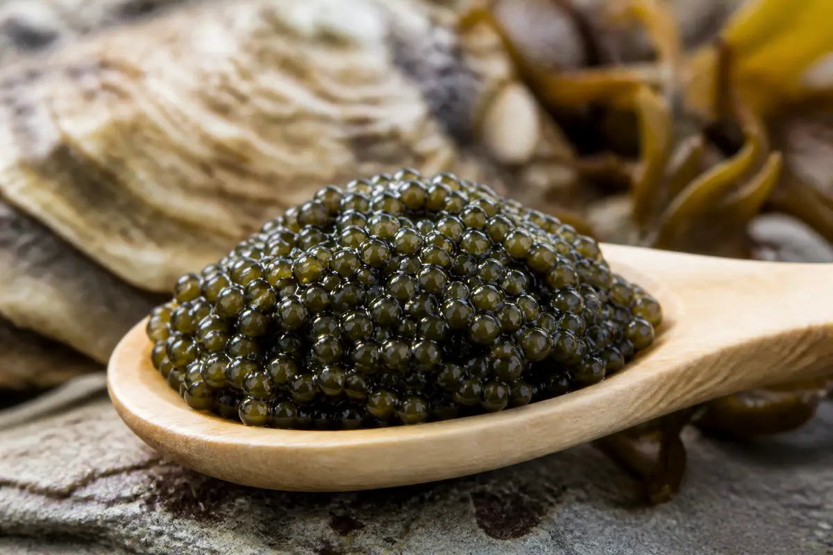 Prix du kilo caviar : Quel est le coût des meilleurs ?