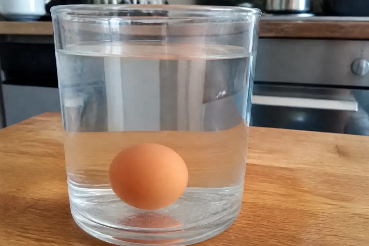 Savoir si un œuf est encore bon : 5 tests simples à réaliser