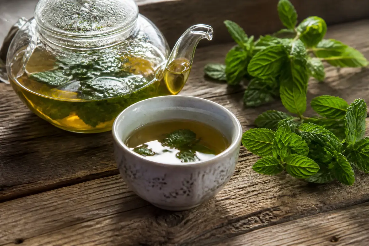 Thé à la menthe verte : Bienfaits, recettes et traditions